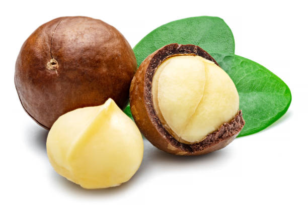 istock Macadamia nuts with peeled macadamia and leaves isolated on a white background. 1277086171