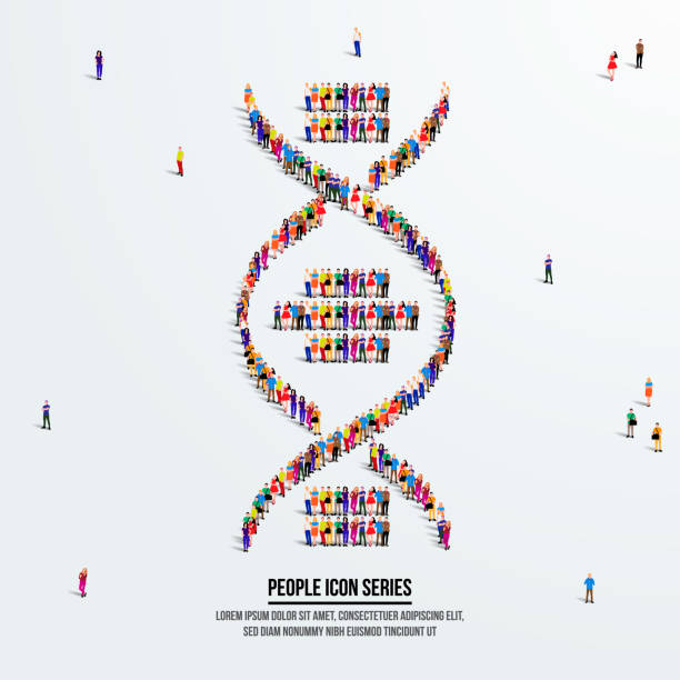 istock dna or helix concept. A large group of people form to create a shape dna or helix. People icon series. Vector illustration. 1277087826