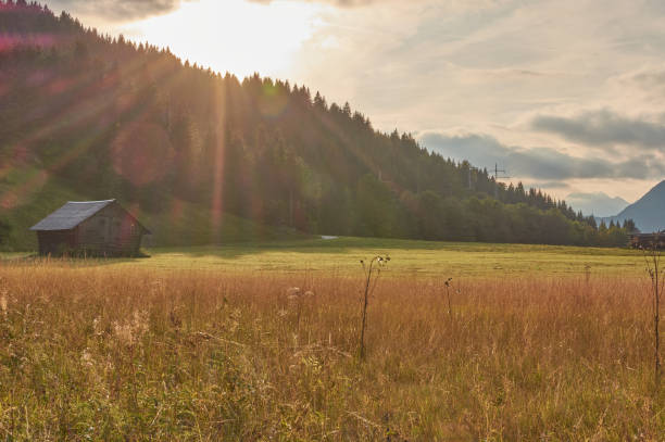 istock Sunset in the alps. Sunset above a meadow in the mountains. 1277087908