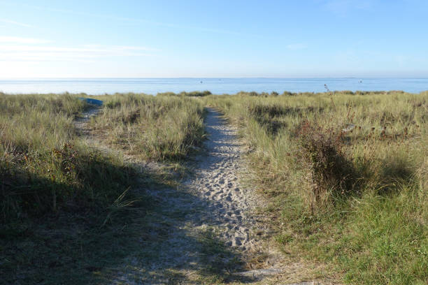 istock Footpath between the vegetation of the sand dune 1277088722