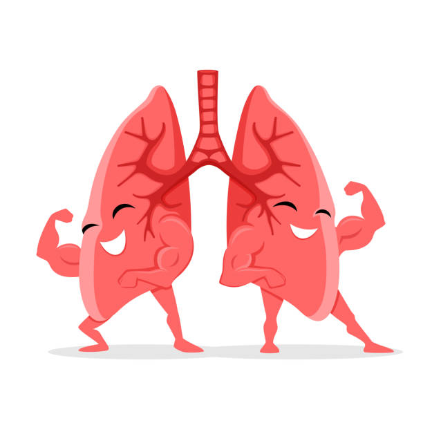 Healthy and strong lungs. vector art illustration