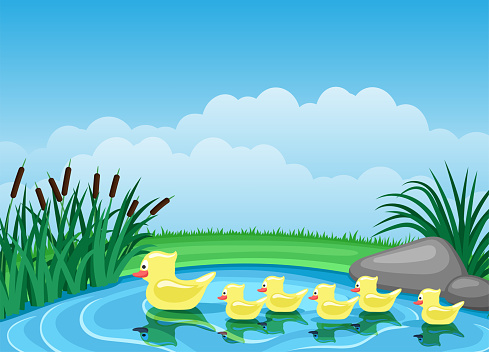 Illustration with cute ducks swimming on the pond.
