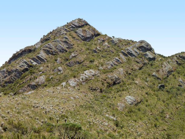 istock Chingaza National Natural Park 1277091721