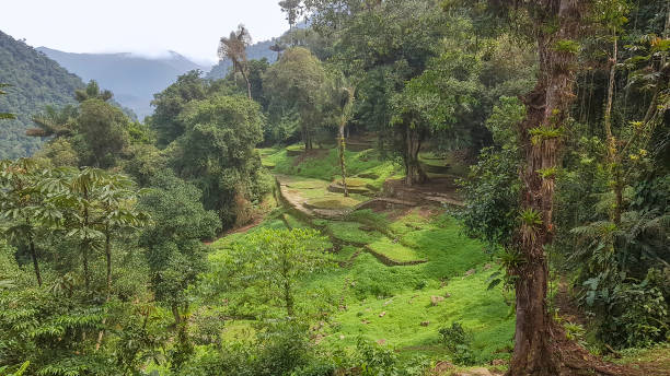 istock Lost City in Colombia 1277091886