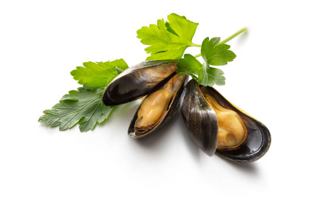 istock Seafood: Mussels and Parsley Isolated on White Background 1277092002