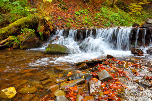 istock Beautiful landscape with a waterfall in the autumn forest 1277092423