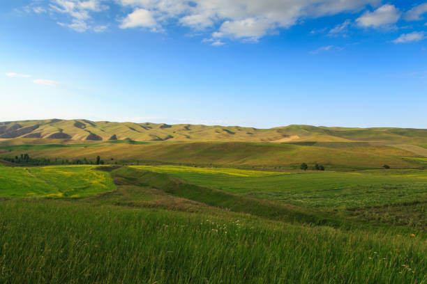 istock Beautiful spring and summer landscape. Lush green hills. Spring blooming herbs. 1277093531