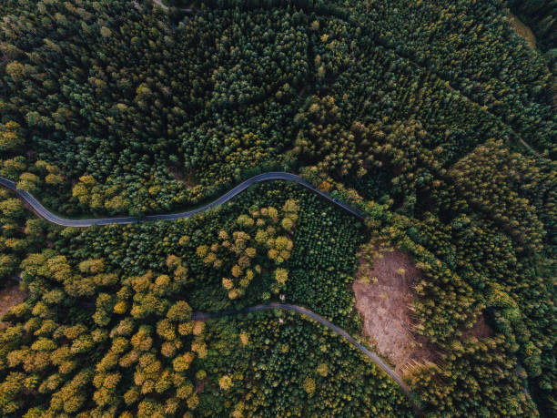 istock aerial view of a landscape 1277093684