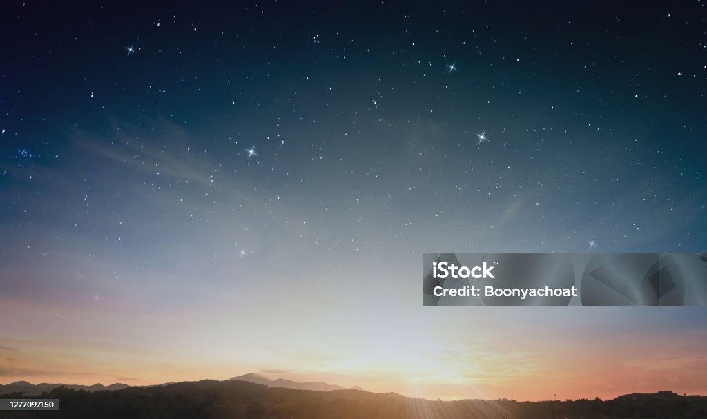 Star of Christmas sky Abundant star on horizon sky Christmas night background Star - Space Stock Photo