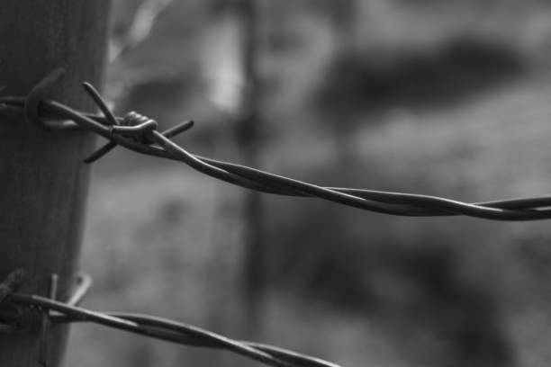 istock Spiked Wire Fence in Mojave Desert 1277097836