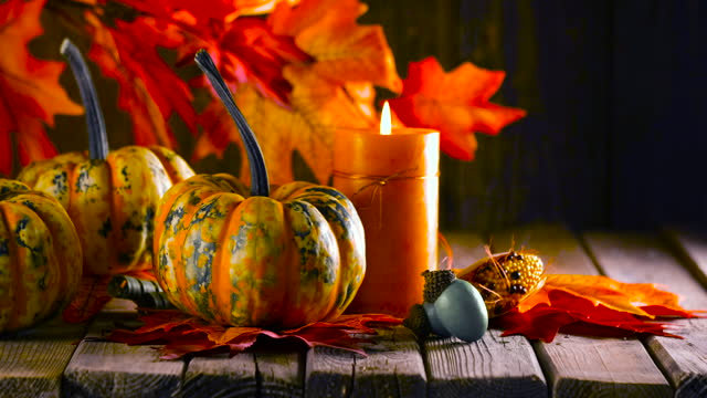 Thanksgiving decoration with pumpkins and greeting card on illuminated background and a rustic wooden table