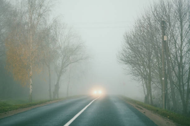 istock Road By Trees Against Sky During Foggy Weather 1277100607