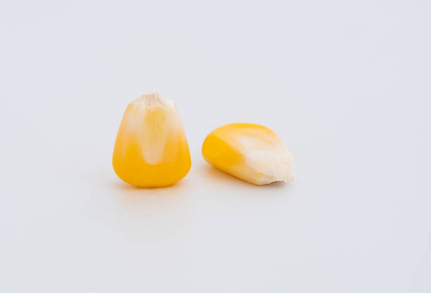 кукуруза на ядрах поб, очищенных изолированными на белом фоне - corn kernel стоковые фото и изображения