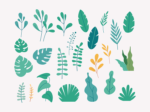 Color leaves, plants and trees source vector set. flat design illustration