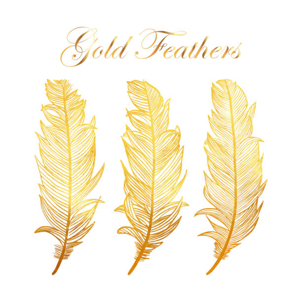Gold Feathers Collection with White Background. Design Element for Greeting Cards and Wedding, Birthday and other Holiday and Summer Invitation Cards Background. Gold Feathers Collection with White Background. Design Element for Greeting Cards and Wedding, Birthday and other Holiday and Summer Invitation Cards Background. feather illustrations stock illustrations