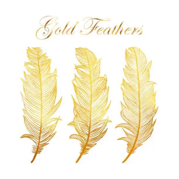 Vector illustration of Gold Feathers Collection with White Background. Design Element for Greeting Cards and Wedding, Birthday and other Holiday and Summer Invitation Cards Background.