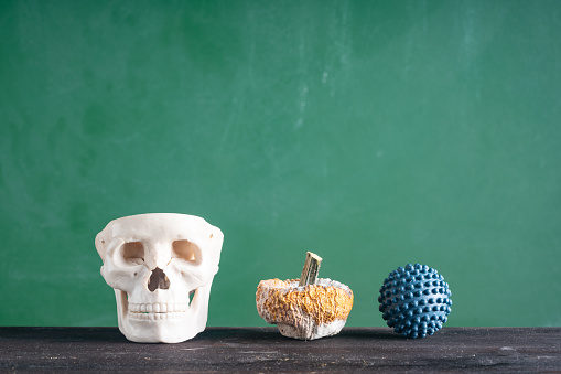 Of human skull, rotten pumpkin and a virus shaped object in front of green chalkboard for halloween concept. The blackboard is blank for copy space. No people are seen in frame. Shot with a full frame mirrorless camera.