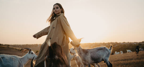 istock Shepherdess walks in a pasture among goats at sunset. 1277103114