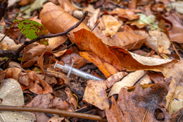 drug needle in a public park drug needle in the middle of autumn leaves in a public park in New York harlem park stock pictures, royalty-free photos & images