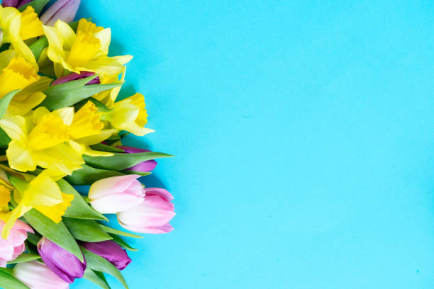 istock tulips and daffodils flowers 1277106079