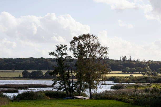 istock Late Summer Scenery Brabrand Lake, Aarhus 1277107781