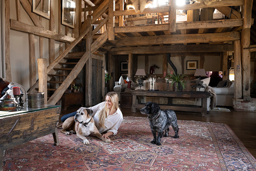 Relaxed Caucasian woman in early 20s lying on Persian rug in rustic family home with alert senior Boxer and English Cocker Spaniel.