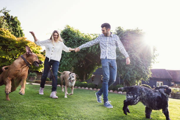 istock Young couple and running dogs playing outdoors on lawn 1277107842