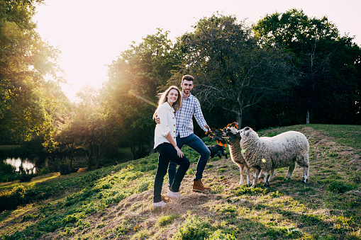 Cheerful Caucasian couple in early 20s wearing casual clothing and looking at camera while sharing bunch of early autumn leaves with sheep in rural pasture.