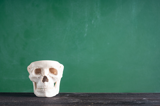 Photo of human skull in front of green chalkboard. The background is black. Shot with a full frame mirrorless camera.