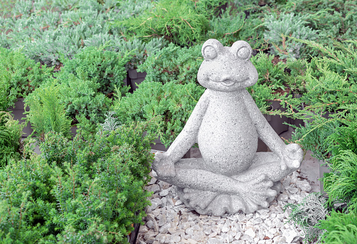Garden ceramic figurine frog sitting in lotus pose.