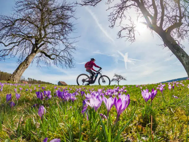 happy yound woman riding her electric mountain bike in a meadow with colorful blooming crocuses in early spring
