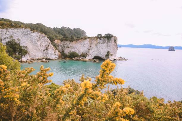 istock Cathedral Cove Marine Reserve 1277116256