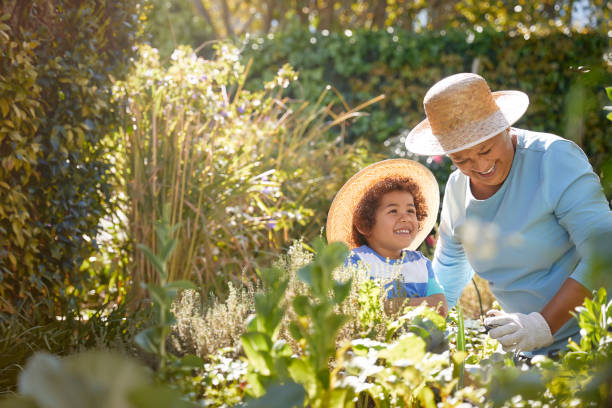 Grandmother and child gardening outdoors African descent grandmother and grandchild gardening in outdoor vegetable garden in spring or summer season. Cute little boy enjoys planting new flowers and vegetable plants. pics of the black granny stock pictures, royalty-free photos & images