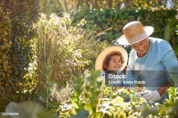 Grandmother And Child Gardening Outdoors - Fotografias de stock e mais imagens de Terceira idade - Terceira idade, Família, Jardinagem