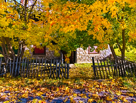 Žabljak, Montenegro  - October 22, 2019: in autumn a wooden fence in front of an old house with trees in the front garden