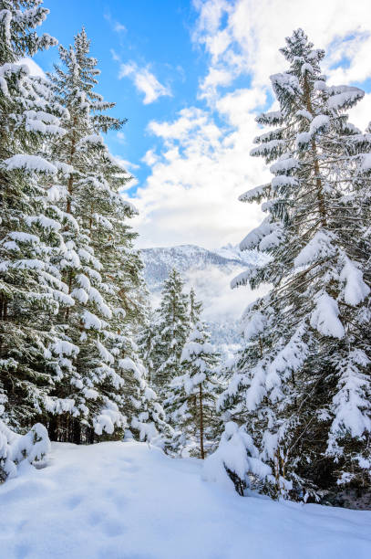 schöne winterlandschaft in tirol, reutte, österreich - lechtaler alps stock-fotos und bilder