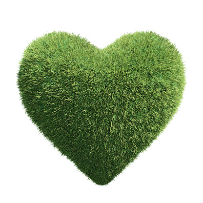 Grass heart symbol. 3d illustration