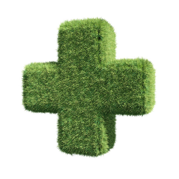 istock Grass medical cross symbol 1277123210