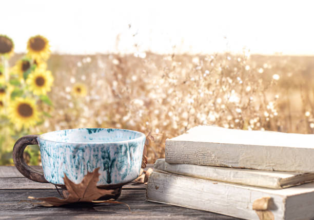 Autumn composition with books and a beautiful Cup on the background of a field and sunflowers.