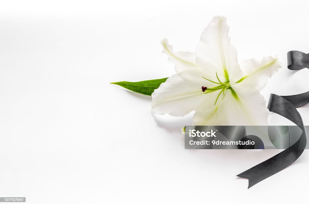 Condolence Card With White Flowers Lily Funeral Symbol Stock Photo ...