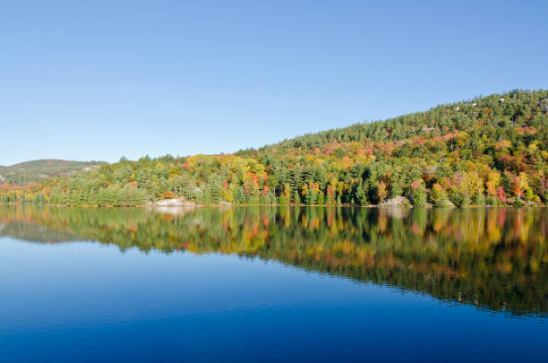 istock Sunrise above forest lake 1277130566