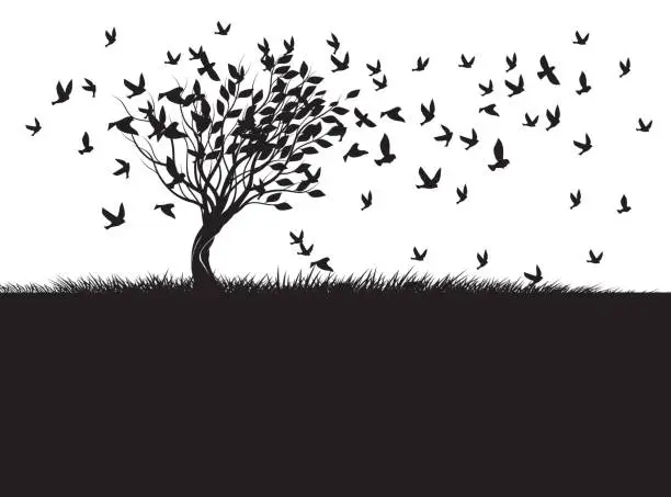 Vector illustration of Shape of Tree, wind and black birds. Vector outline Illustration. Plant in Garden.