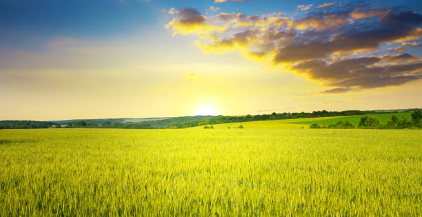 istock Majestic dawn and blue sky 1277134256