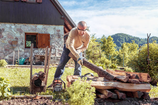istock Man Preparing Wood for Winter 1277136689