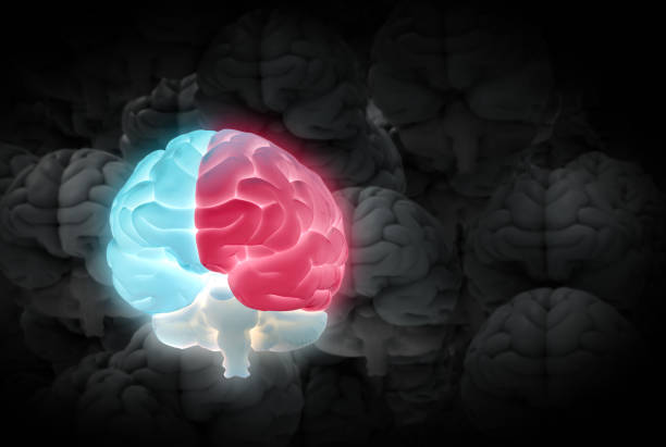 istock 3D rendering illustration glowing illuminated brain isolated on dark brains BG 1277136744