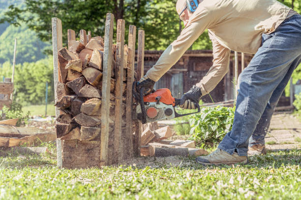 istock Man Cutting Firewood for the Heating Season Using Chainsaw 1277136756