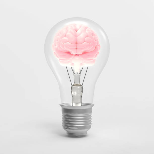 3D rendering light bulb with brain inside illustration isolated on white BG 3D rendering illustration pink glowing human brain inside the electric light bulb isolated on white background included with clipping path inside the mind stock pictures, royalty-free photos & images