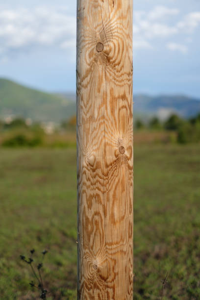 istock wooden post in the countryside 1277137265