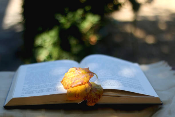 istock Book and Autumn Leaves 1277138965