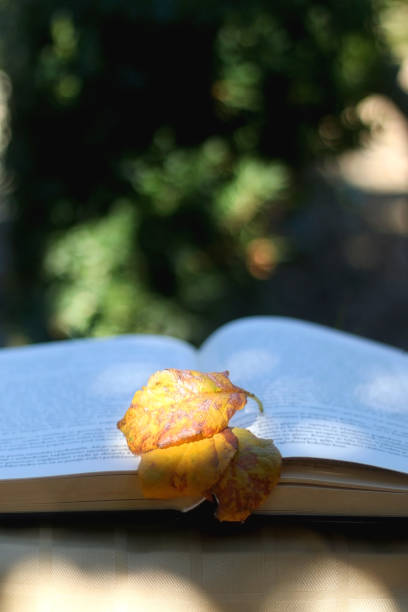 istock Book and Autumn Leaves 1277138979
